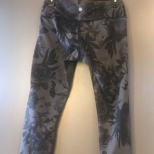 Brisk bloom Wunder under. Sz 8 crops